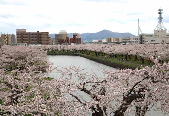 GW休業のお知らせ（2017年）