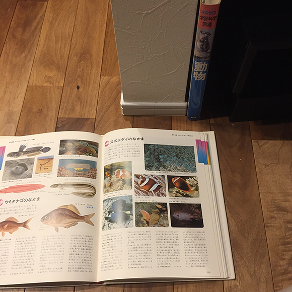 子供の教育と住宅の設計