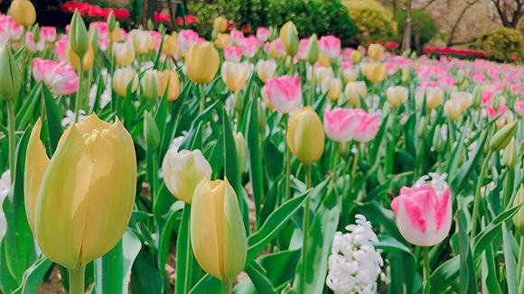 年齢を重ねて我が家に思うこと(照明)