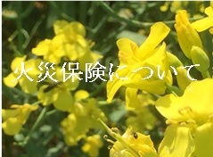 火災保険にも重要な「耐火」と「耐震」