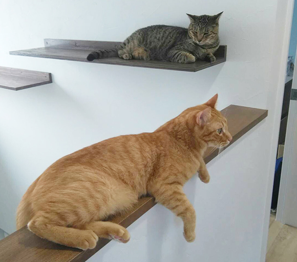 お客様の声(札幌市Naさま)をUPしました