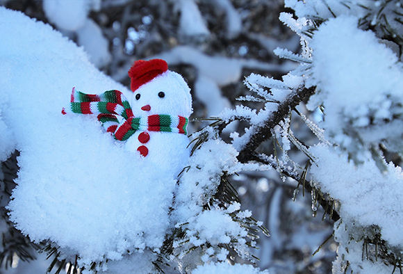 平成30年分の確定申告が始まりました。