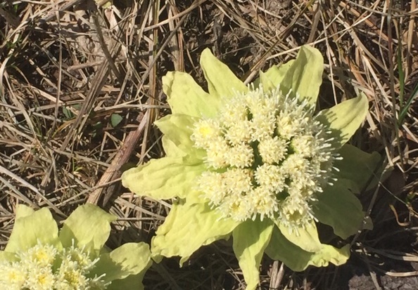 お家の冬じまい