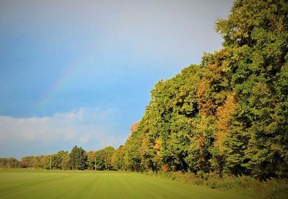 ピクチャーウインドウでラグジュアリーな空間を