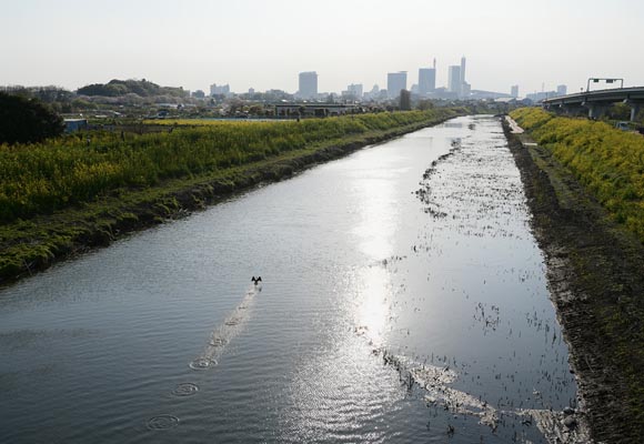 スタッフブログ~水害ハザードマップについて~を追加しました。